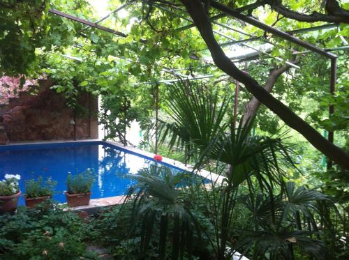 Swimming pool, Gohar`s Guest House in Yeghegnadzor