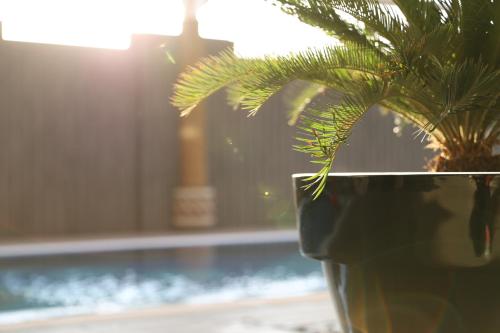 Somewhere Hotel Al Ahsa