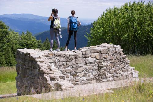 Lake Peak Apartments, Ribniško Pohorje