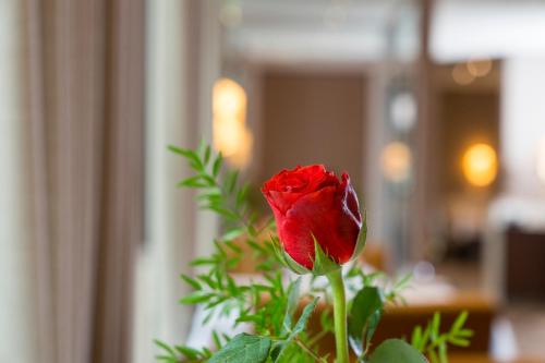 Hotels Image