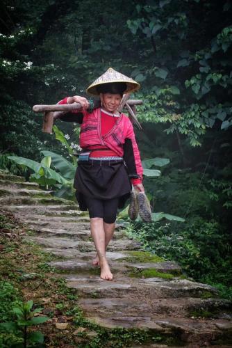 Longji Terrace Inn