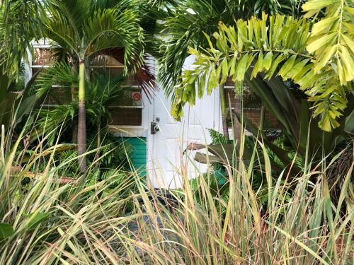 Kert, Calypso Inn Wilton Gay Male Resort in Wilton Manors