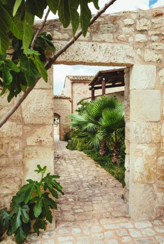 Silva Suri - main image