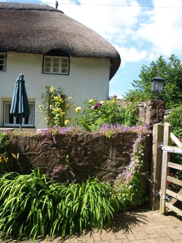 The Barn and Pinn Cottage