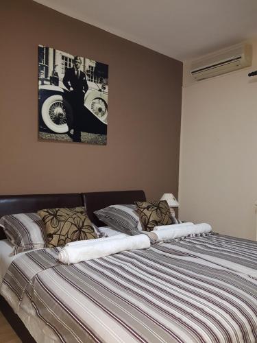 Apartments Cvetkovic Relax - image 11