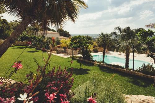 Silva Suri - image 11