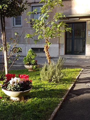 Le Tre Sorelle B&b Garbatella