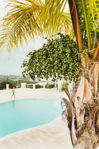 Silva Suri - image 6