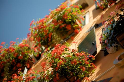 Hotel Al Codega - image 14