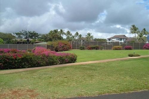 Manualoha 201 - image 7