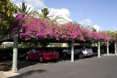 Manualoha 201 - image 9