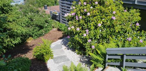 ทัศนียภาพภายนอกโรงแรม, Berge & Laila's Private Apartment in ฟอร์ด