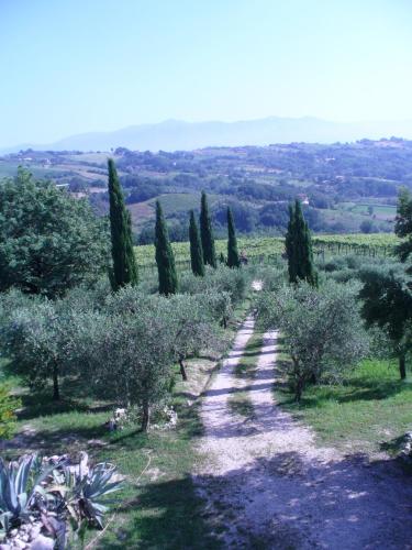 Casale Nido dell'Aquila in Castel Campagnano