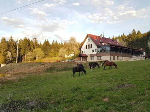 

Level Up Guest House