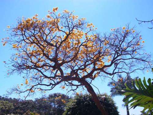 Estalagem Fazenda Lazer