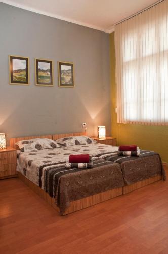 Hostel Mostel Hub Rooms and Apartments – Sofia, NY
