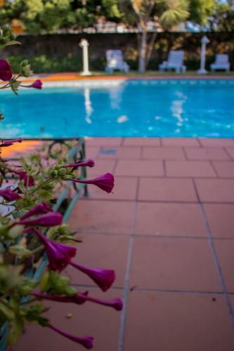  Quinta da Victória, Ferienwohnung in Viana do Castelo