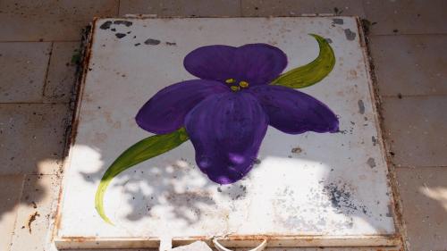 Studios Iris - image 13