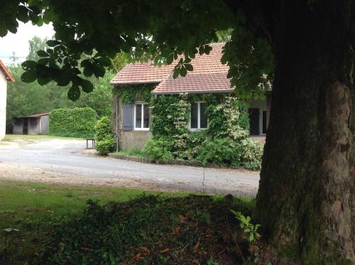 Meublé de tourisme "Les brosses tillots" - Location saisonnière - Mary