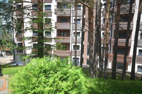 Apartment Pino Bianco - Vila Peković