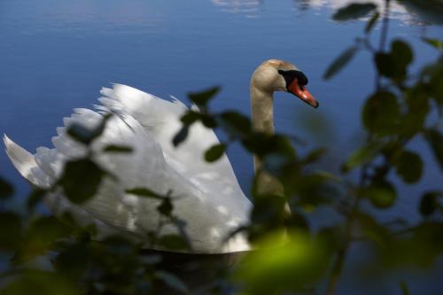 Haraldskær Sinatur Hotel & Konference - image 13