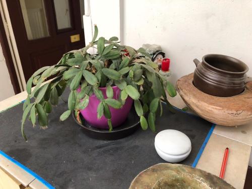 Summer place - image 6