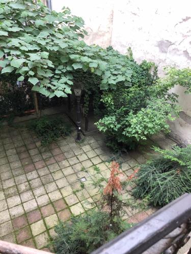 Summer place - image 12