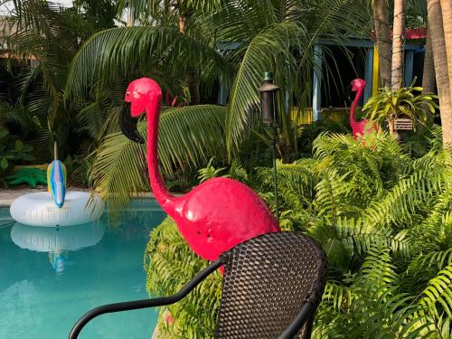 Calypso Inn Wilton Gay Male Resort - image 7