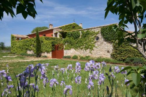 Holiday home with private pool - Herault- Languedoc - South France gîte à louer Saint-Martin-de-Londres