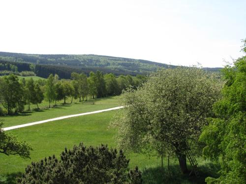 Hotel Steuer - Allenbach