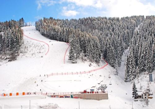 Zlatarska kruna - image 5