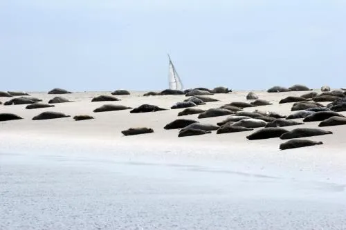 BORKUMUNTERKUNFT - WOH3 - IM HERZEN DER INSEL in Borkum, Deutschland