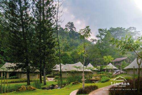Tiarasa Escapes Glamping Resort - 주변 환경