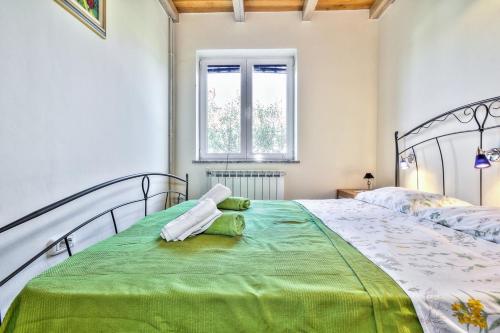 LANA house with apartment - Petrovija