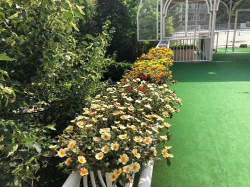 Csillag Delux Apartman Gyula 