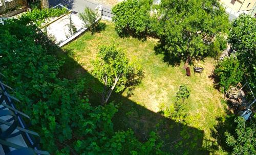Guest House Julia - image 3