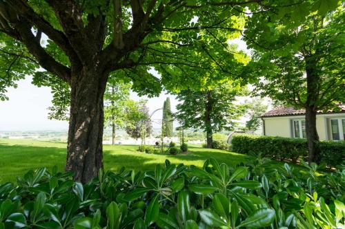 Relais Villa Belvedere & SPA ONLY ADULTS - image 14