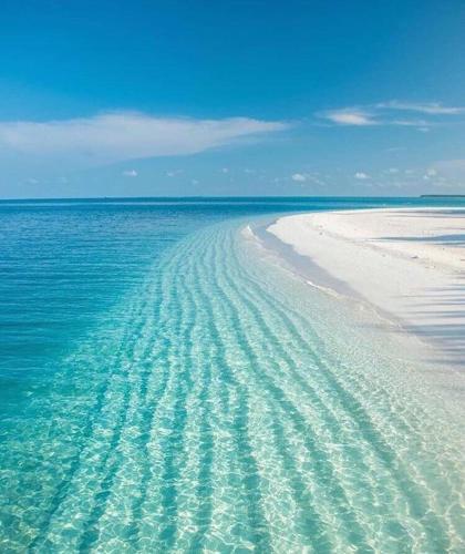 B&B Butterfly chambre d'hôte Marina di Pescoluse