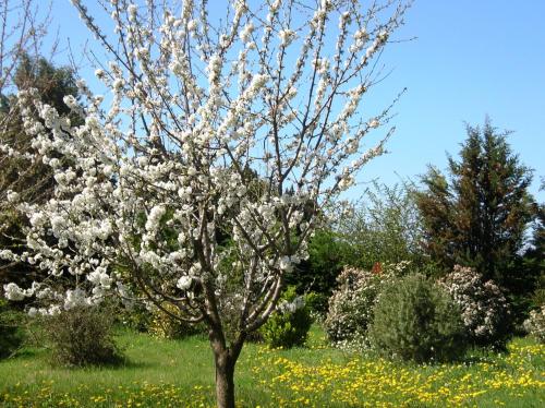 Le Mas De La Cigale Bleue, Caumont Sur Durance