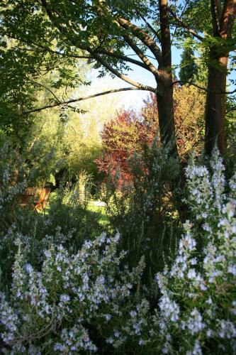 Le Mas De La Cigale Bleue, Caumont Sur Durance