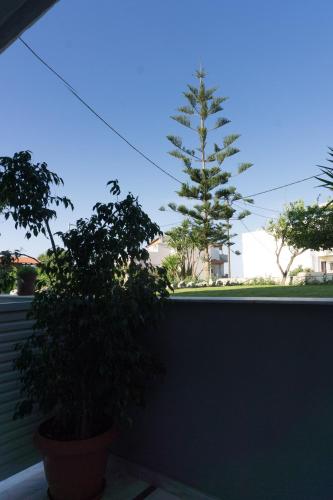Thegaia Studios, Rethymno (Foto 8)