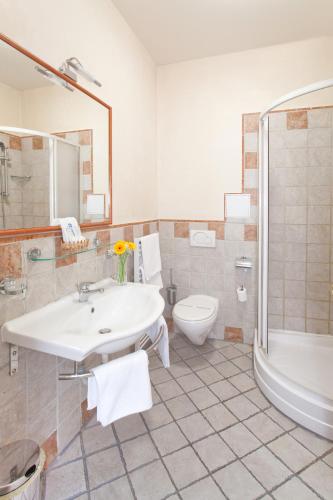 Hotel Tivoli Prague - image 14