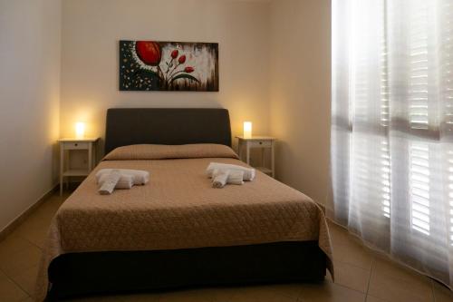 Boa Vista - image 6
