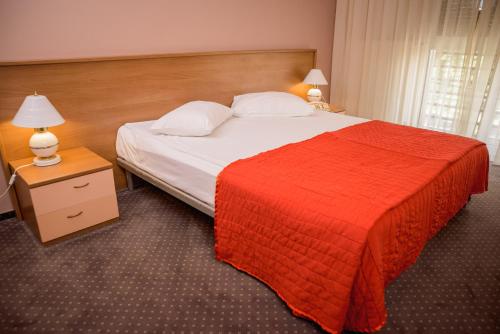 Hotel Reghina Timisoara In Romania - 