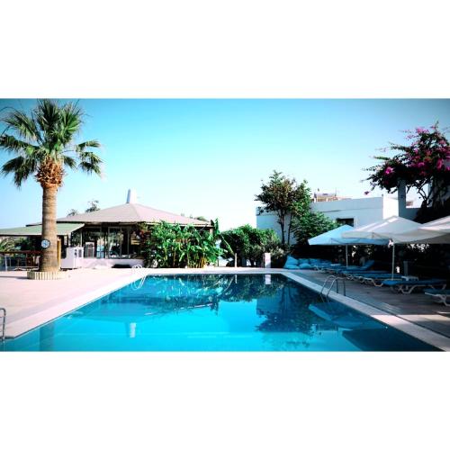 Ресторан, Gumbet Cove Hotel in Гумбет