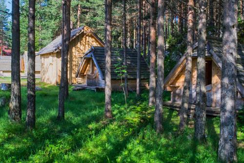 Eco Camp Chalets pod Gorom - image 8
