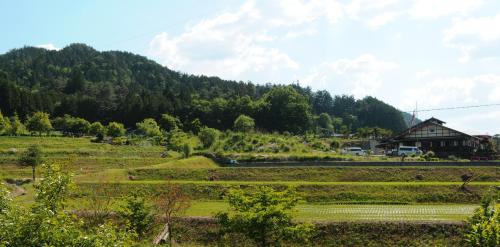 Sakura Guest House - Hostel Room Type - Economy Room with Shared Bathroom (3-4 Adults)