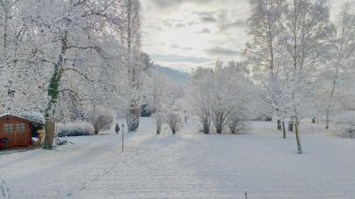 Entre Thur et montagne photo 16