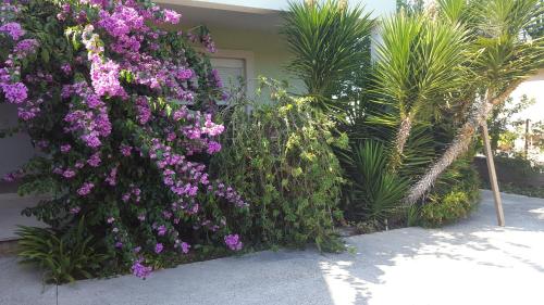 Apartment Giardin - image 3