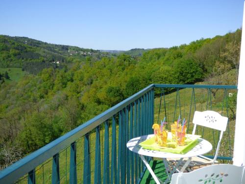 สภาพแวดล้อมโดยรอบ, VILLA MAISON BLANCHE TULLE 1 à 4 personnes (VILLA MAISON BLANCHE TULLE 1 a 4 personnes) in ตูล